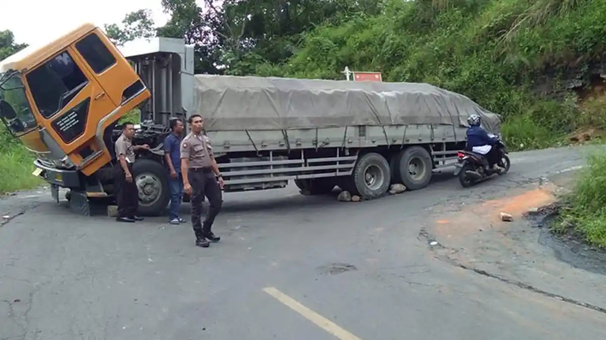 Semen di Gayo Lues Mulai Langka