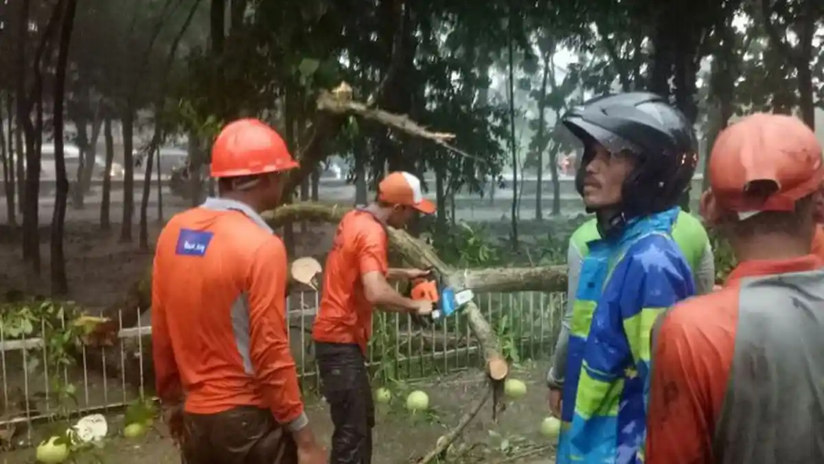 Dahsyat. . . Angin Kencang dan Hujan Es Landa Magelang, Begini Dampaknya!