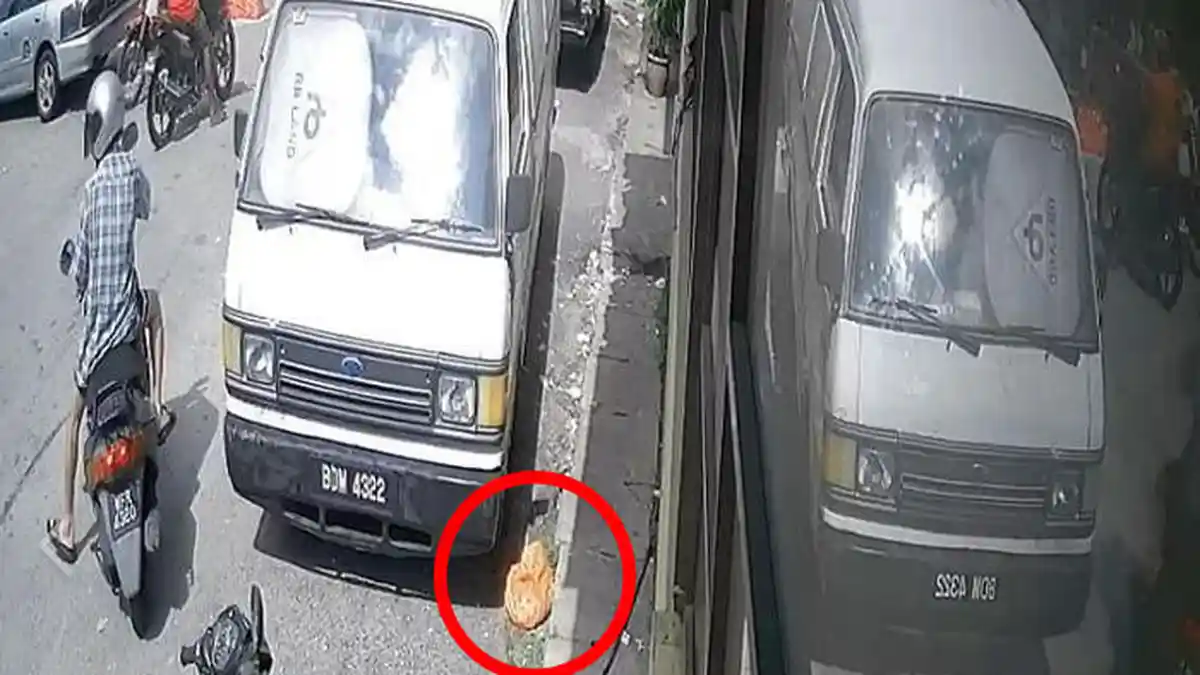 Video Sadis Terekam CCTV Pria Buang Kucing Dalam Kantong Plastik Hingga Mati