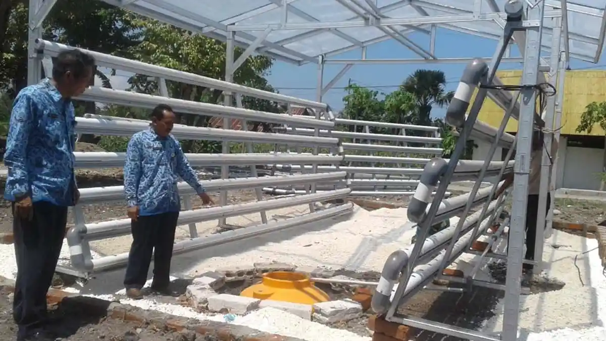 Hydroponik Cocok di Kupang