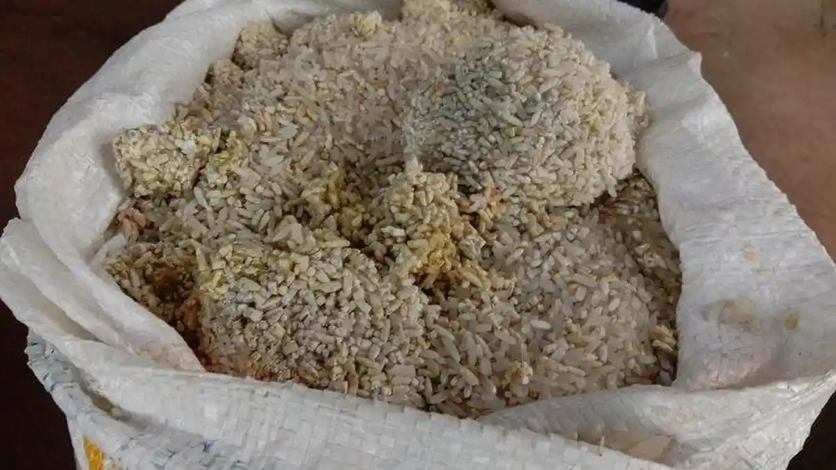 Penampakan Beras Batu Bantuan Sosial PPKM di Banten, Dicuci Berulangkali Tetap Tak Bisa Dikonsumsi