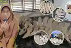 20251112-Penemuan-tulang-raksasa-di-Tanjabbar-Jambi-viral-diyakini-ikan-paus.jpg