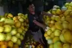 Penjualan Timun Suri Menurun