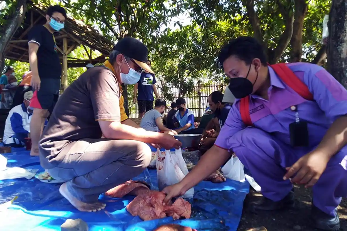 Petugas Temukan Cacing Hati Sapi di Kendal, Ahmad Septian: Sudah Dikubur Karena Tak Layak Konsumsi