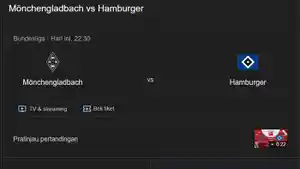 Borussia-Monchengladbach-vs-Hamburg-Bundesliga.jpg