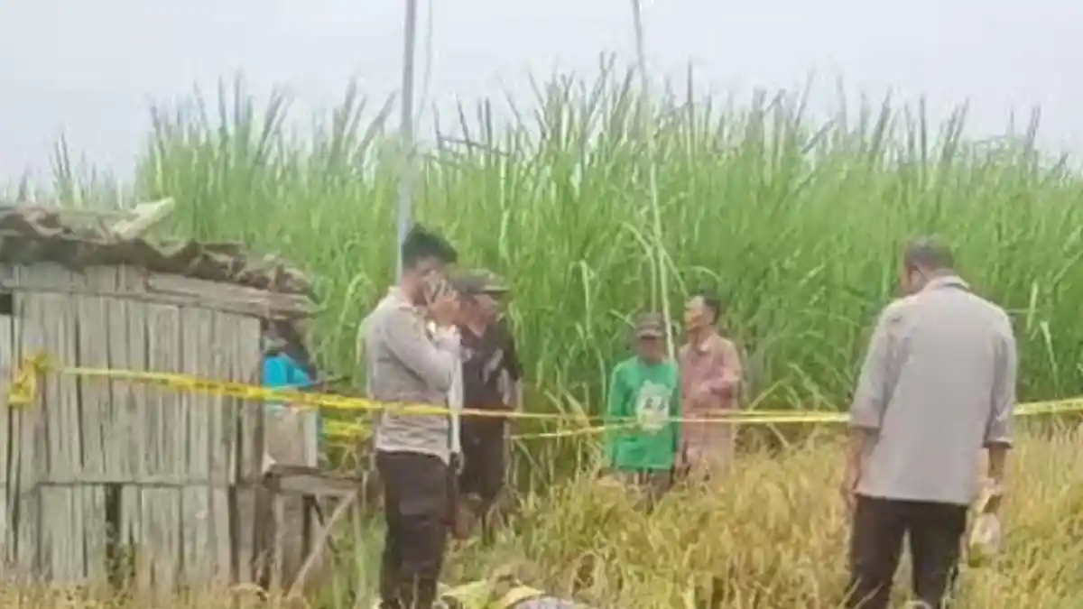 Niat Bajak Sawah Berujung Petaka, 2 Pria di Madiun Meninggal Dunia