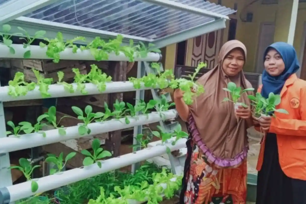 Unja Beri Pelatihan Hidroponik Vertukultur di Mendalo Darat, Puluhan Ibu PKK Antusias Sampai Akhir
