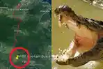 wanita-diterkam-buaya-di-Sungai-Laeya-Desa-Ambesea-Konawe-Selatan-Sulawesi-Tenggara.jpg