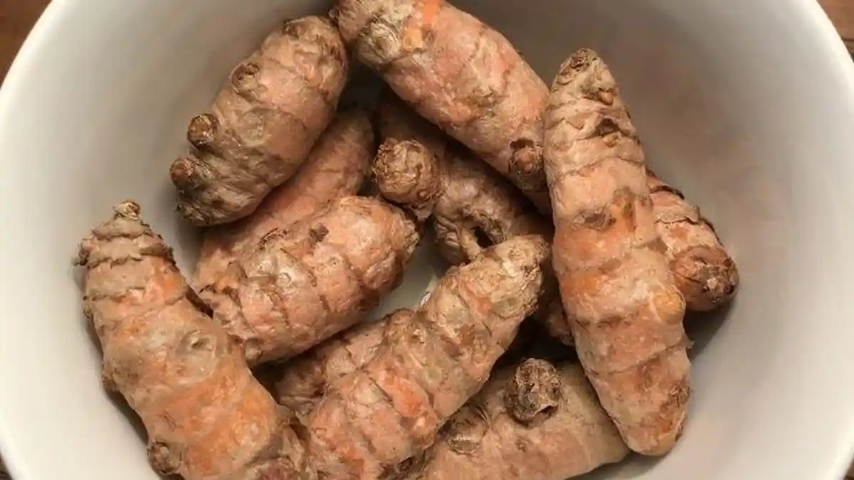 Kunyit dan Biji Ketumbar Ternyata Bisa Jadi Obat Tradisional Atasi Maag Kronis