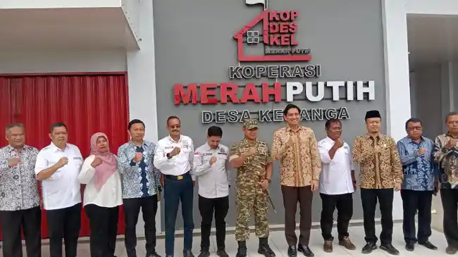 Tribun