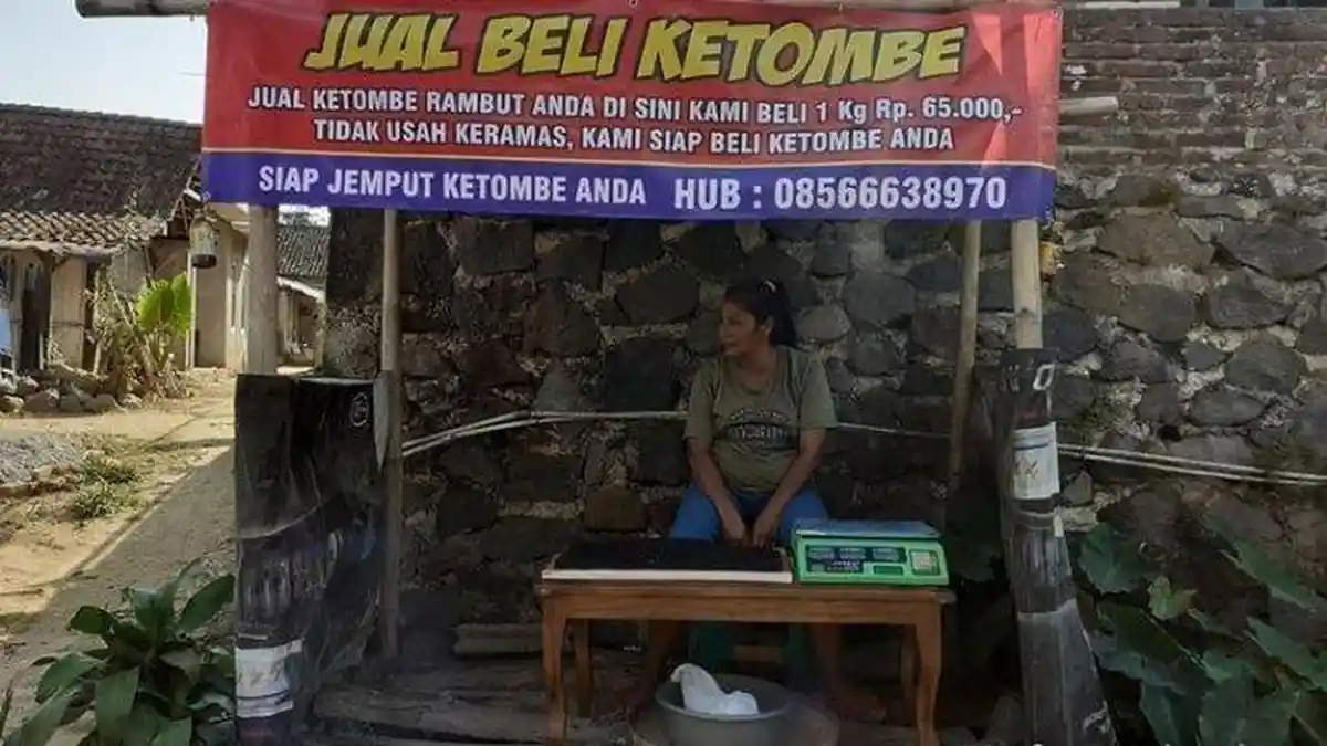 Viral, Jual Beli Ketombe Rp 65 000 Perkilo, Ternyata Lokasinya di Magelang, Ini Alasan Pengusaha