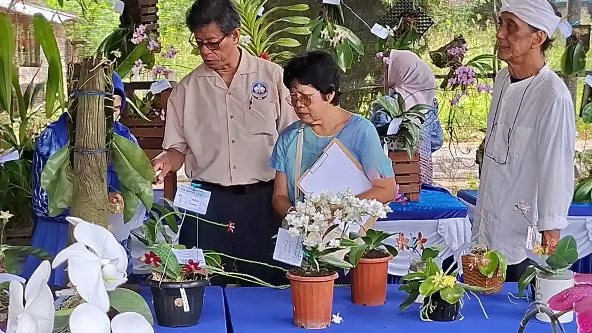 Anggrek Milik Warga Pelaihari Menangi TOP 2025 Tala, Peserta Puas Penjurian Profesional dan Objektif