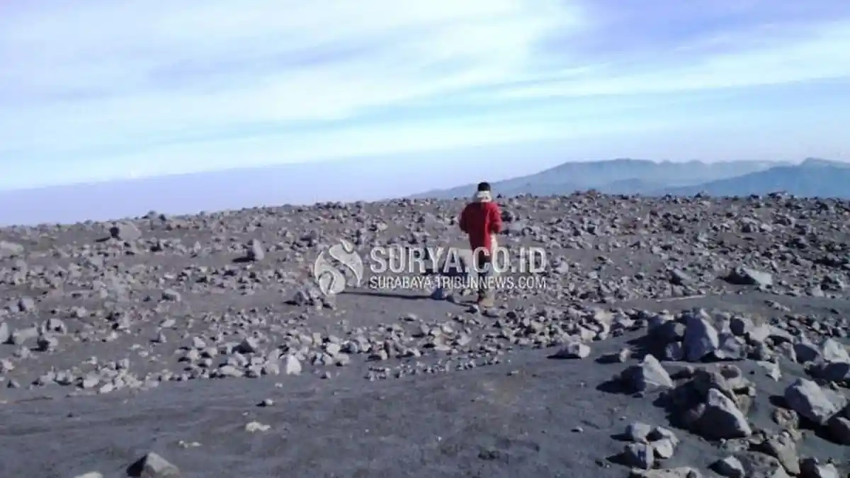 Vegetasi Gunung Semeru Kembali Tumbuh, Jalur Pendakian Akan Segera Dibuka