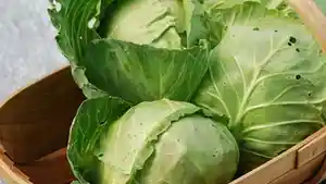ilustrasi-sayur2_20150711_162507.jpg