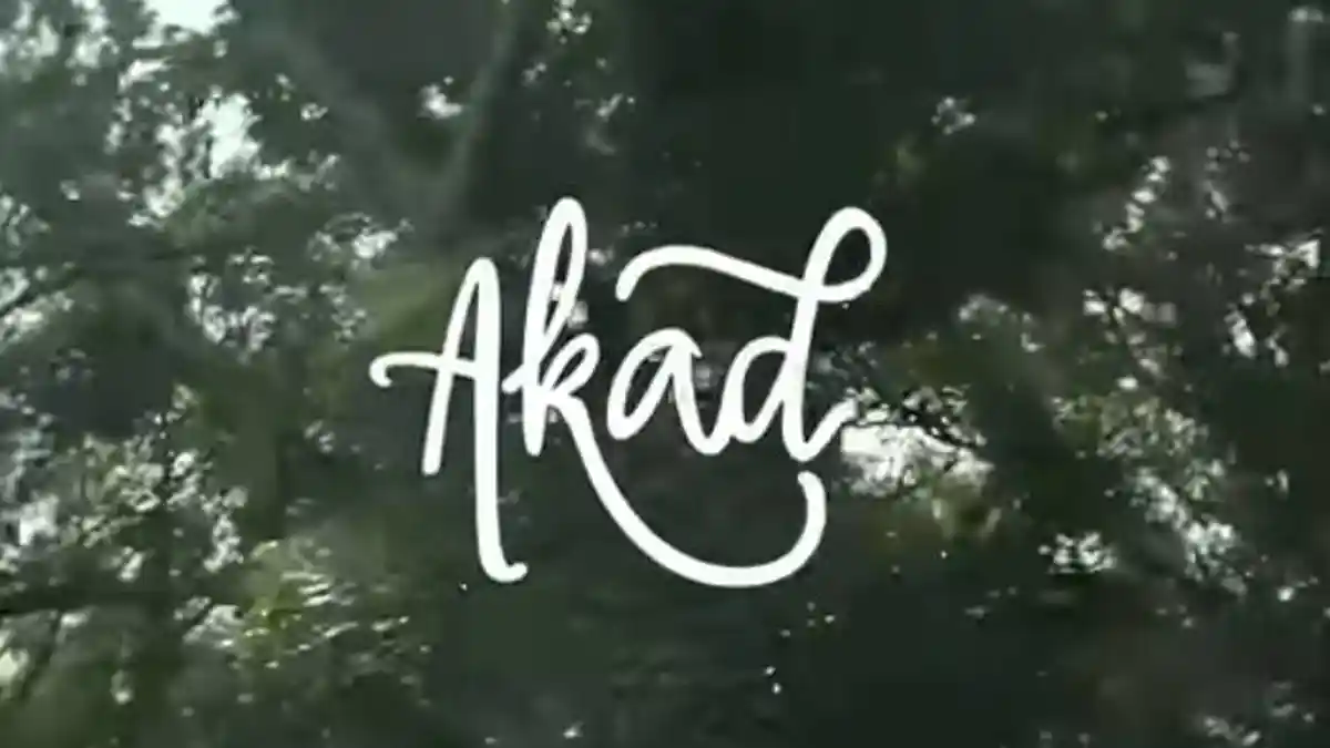 Lirik Lagu Romantis 'Akad' Payung Teduh, Dilengkapi dengan Chord Gitar: Ku Ingin Kau menjadi Istriku