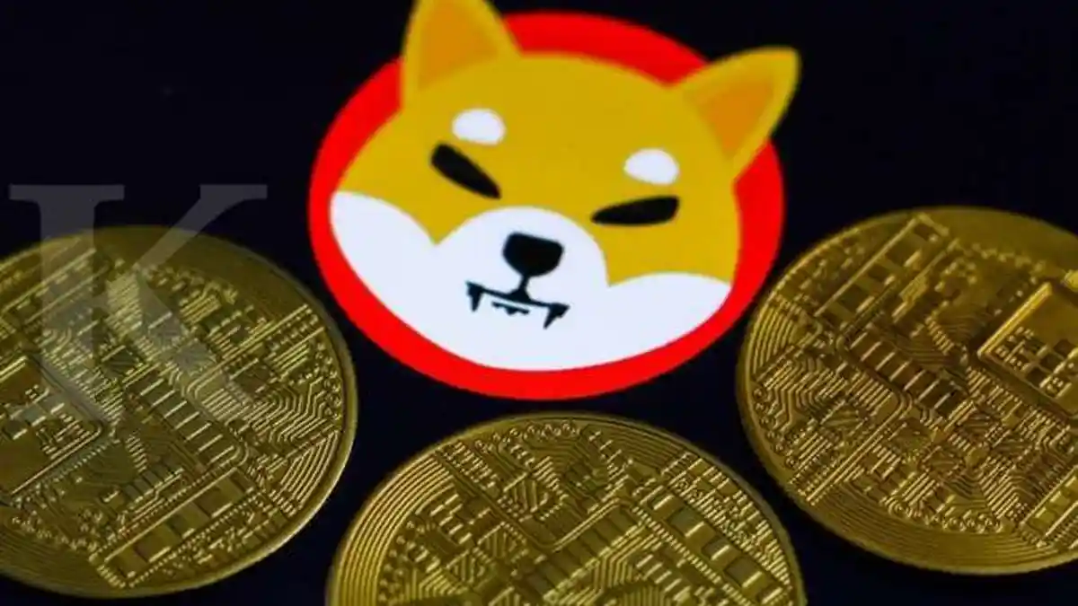 Daftar Kripto yang Punya Masa Depan Cerah Dibanding Shiba Inu