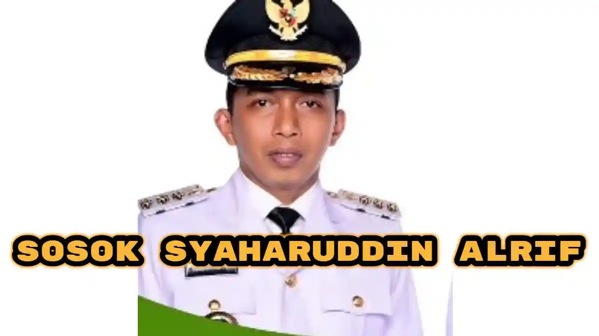 Sosok Syaharuddin Alrif, Bupati Sidrap yang Tegur Nathalie Holscher ...