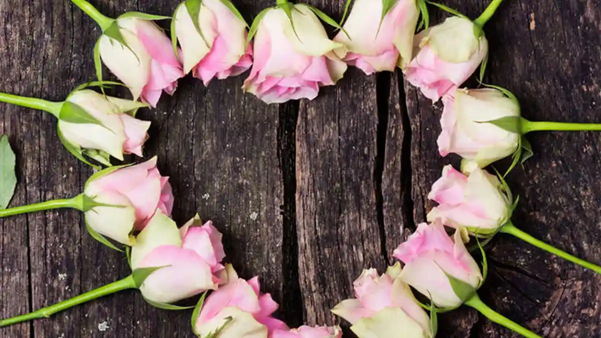 Ramalan Zodiak Cinta Sabtu 23 November 2019, Scorpio Bertemu Seseorang, Capricorn Saling Dukung