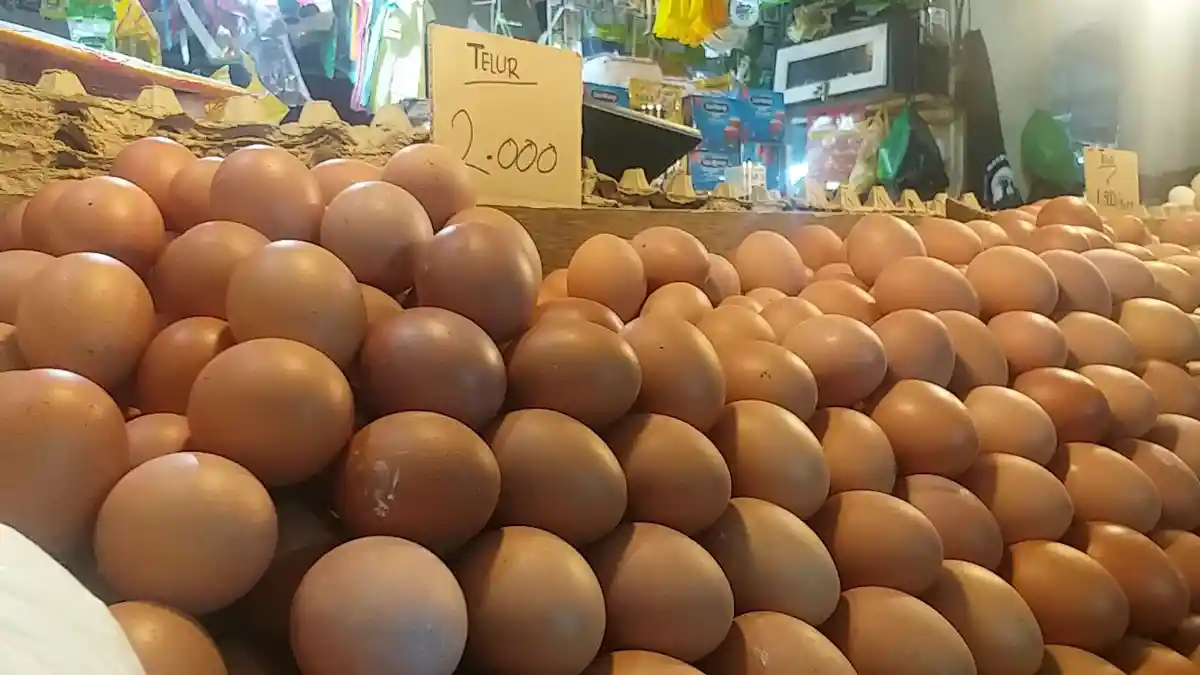 Hari ke-6 Ramadan 2022, Harga Telur Ayam Ras di Ternate Belum Bergerak