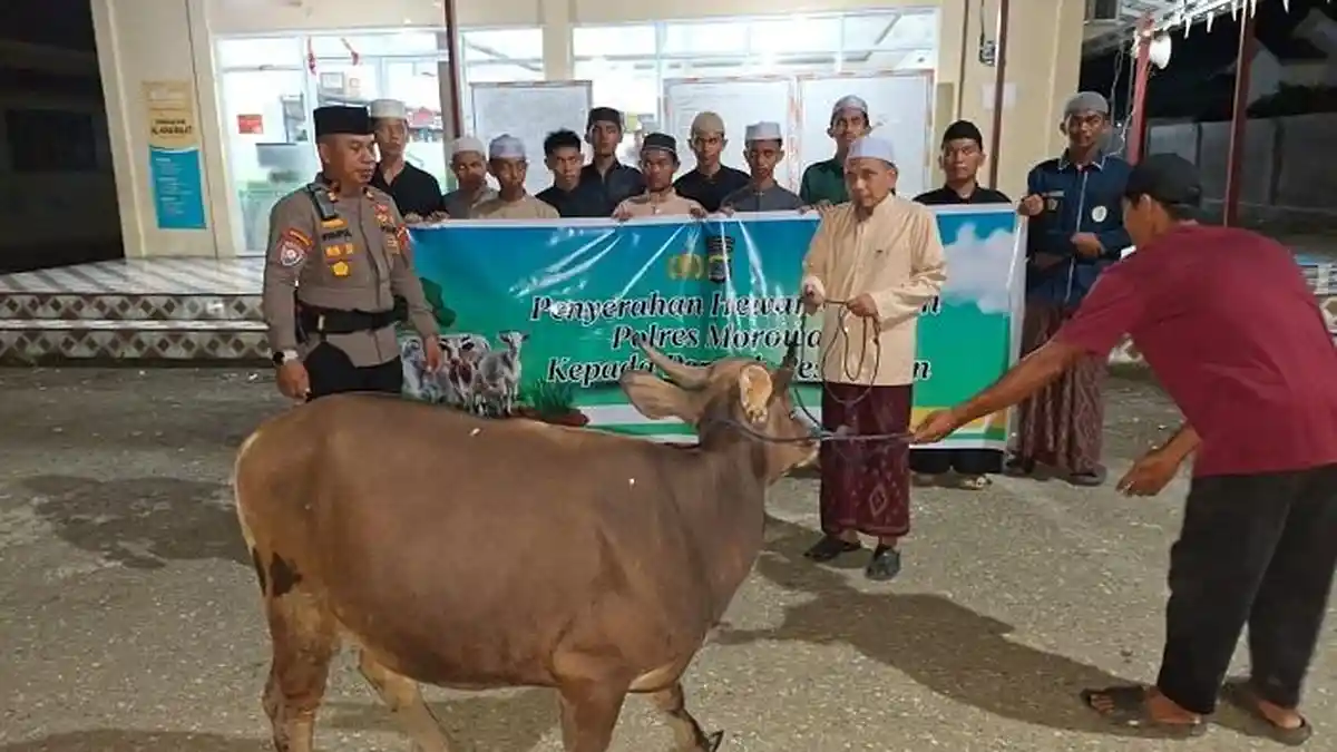 Polres Morowali Salurkan 1 Ekor Sapi Di Ponpes Alkhairat Wosu