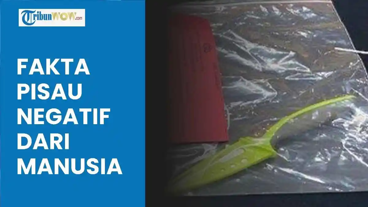 Pisau Dapur yang Digunakan Antok untuk Mutilasi Tak Ditemukan Jejak Darah, Dibeli di Minimarket