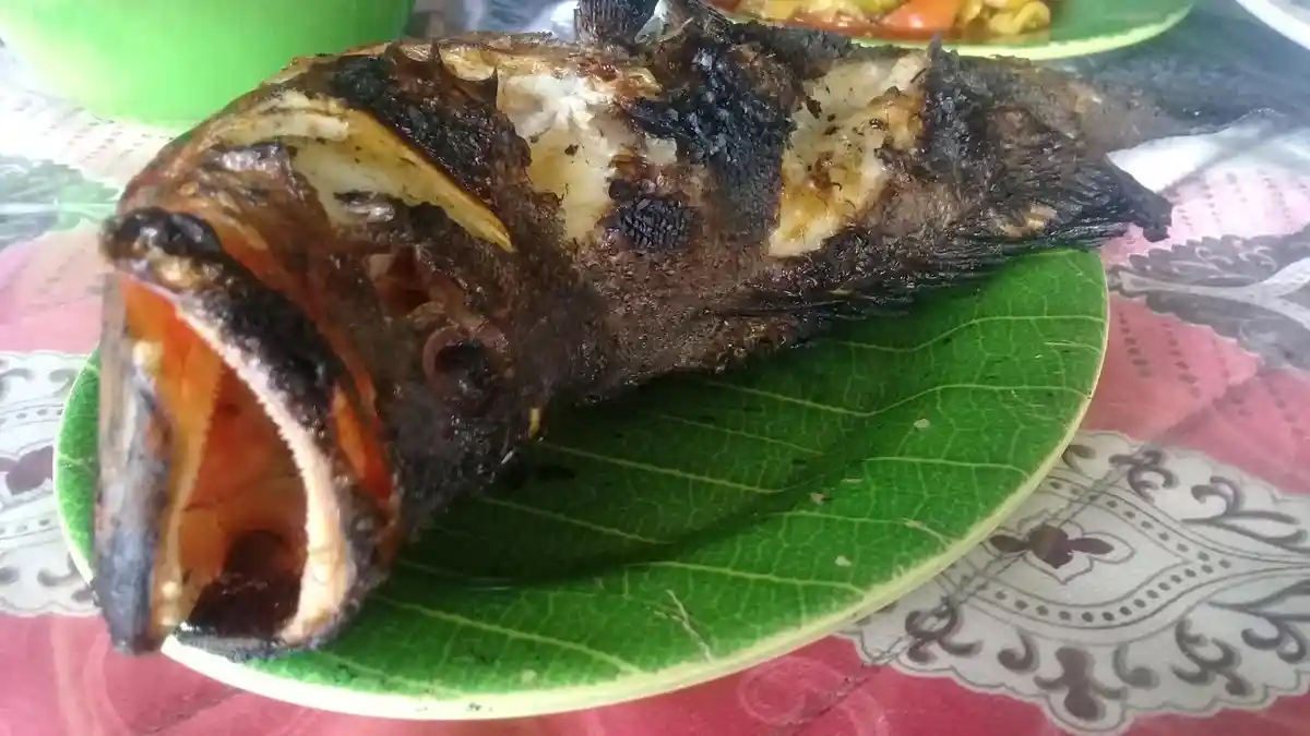 Begini Lezatnya Ikan Karapu Hitam di Warung Makan Siamasei Selayar