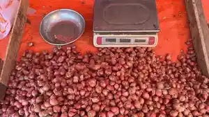 Salah-seorand-Raya-Eva-Ydrti.jpg
