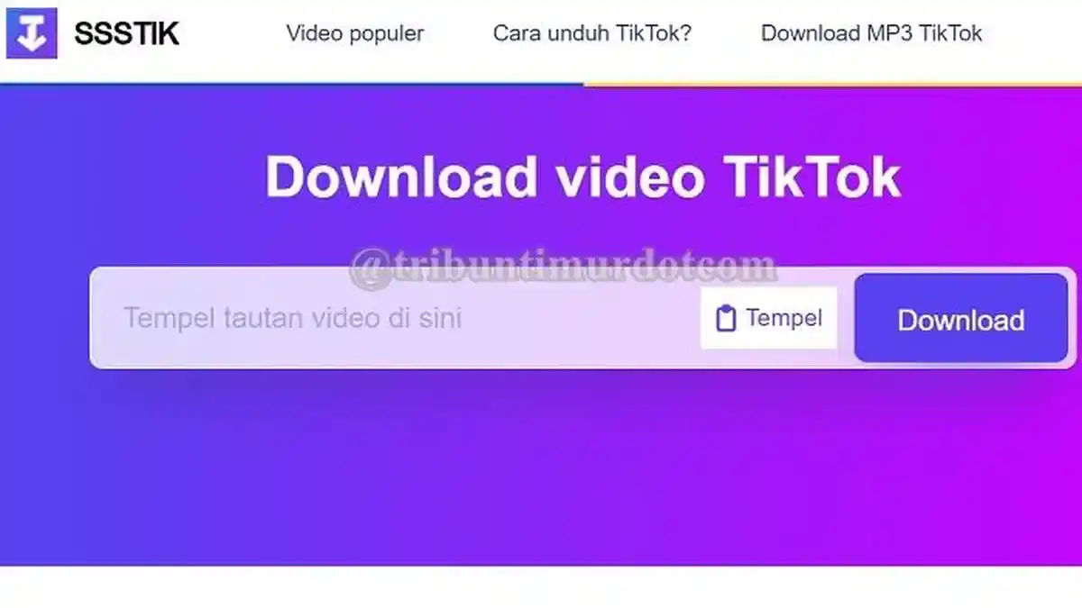 Download Video TikTok No Watermark - SSS TikTok Downloader