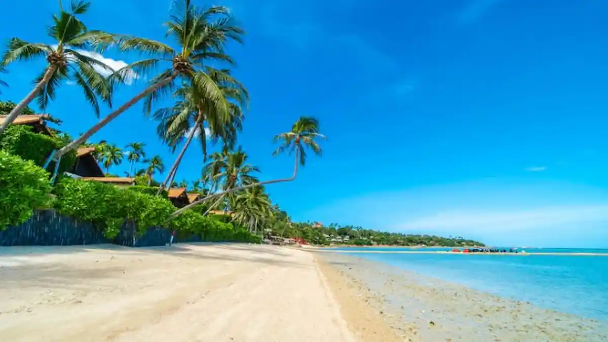 Karimunjawa Closes Tourist Visits due to Bad Weather