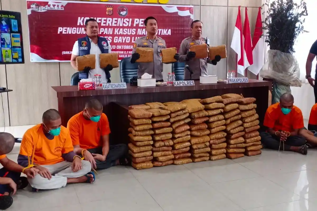 Polres Gayo Lues Musnahkan Ladang Ganja 60 Hektare, 6 Pelaku Ditangkap