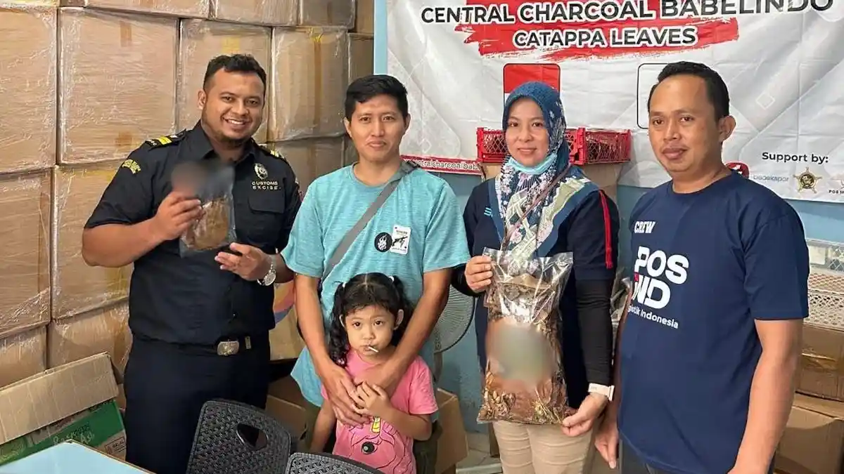 Dalam Setahun PT Central Charcoal Babelindo Bisa Enam Kali Ekspor Daun Kering