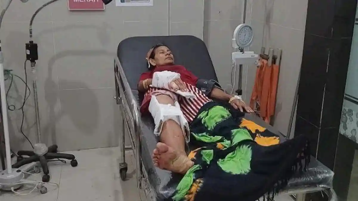 Polisi Ciduk Pria di NTT Usai Bacok Sepupunya Sendiri, Korban Luka-luka