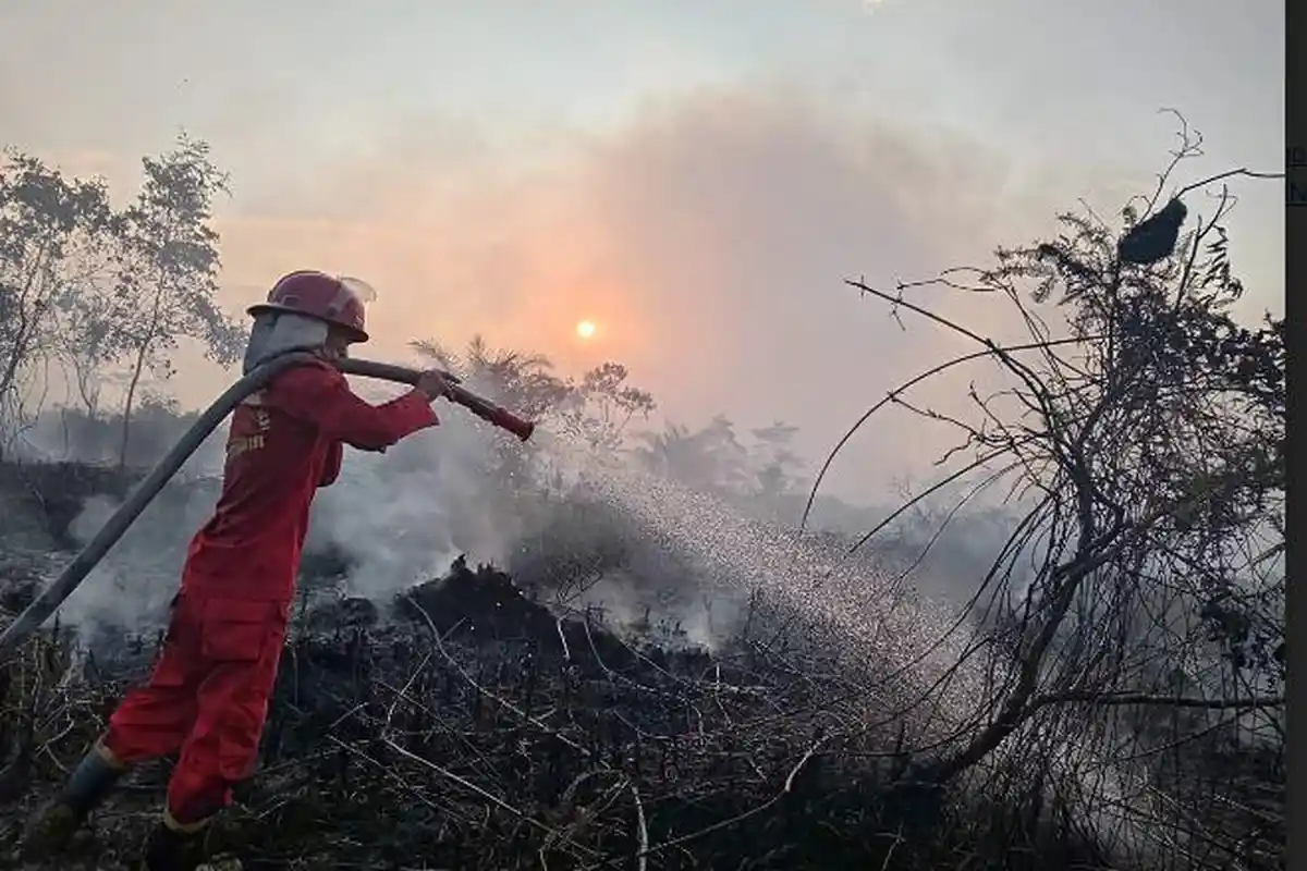 Daftar Lengkap Hukuman dan Denda Jika Nekat Membakar Hutan dan Lahan di Jambi