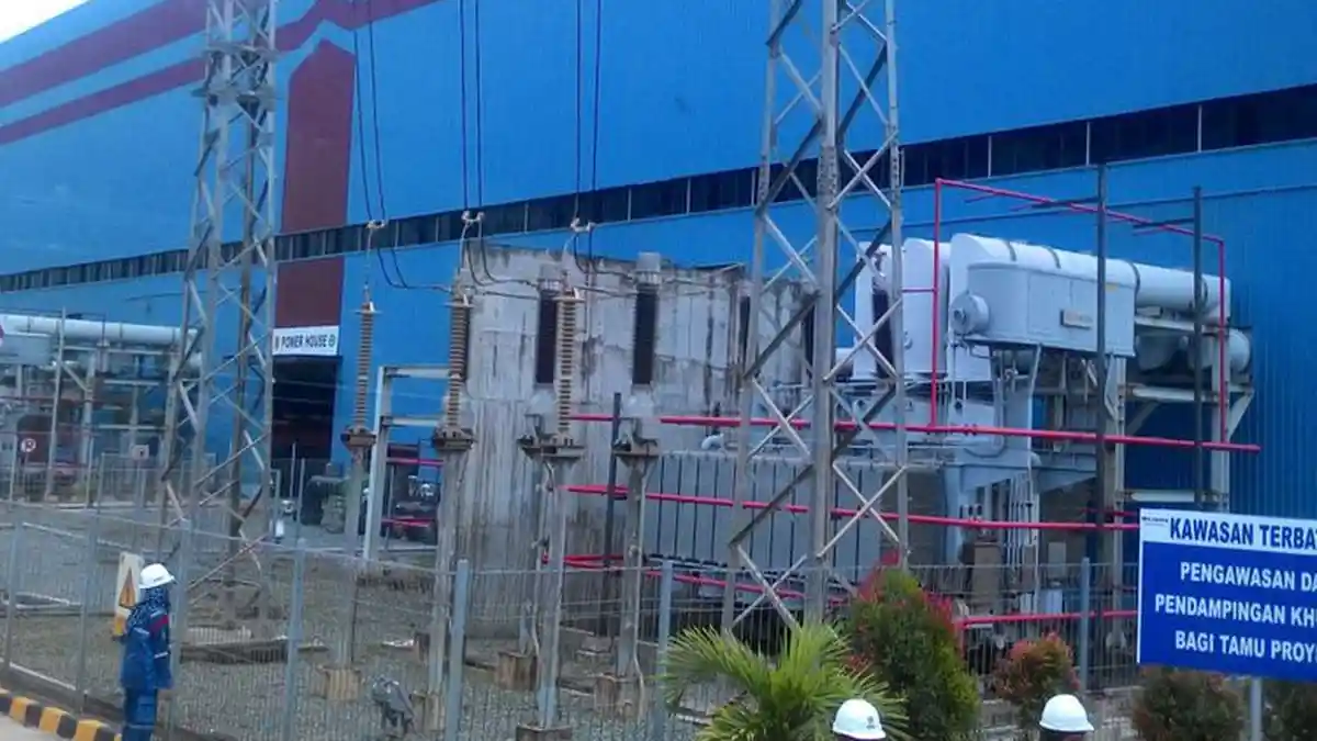Gunakan Biomassa, PLN Siap Pasok Setrum untuk Sektor Industri di Kalimantan
