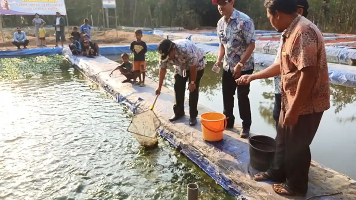Desa Patianom Pekalongan Akan Jadi Tujuan Wisata Mandiri, Asip: Mancing, Bakar Ikan, Ngulek Sendiri