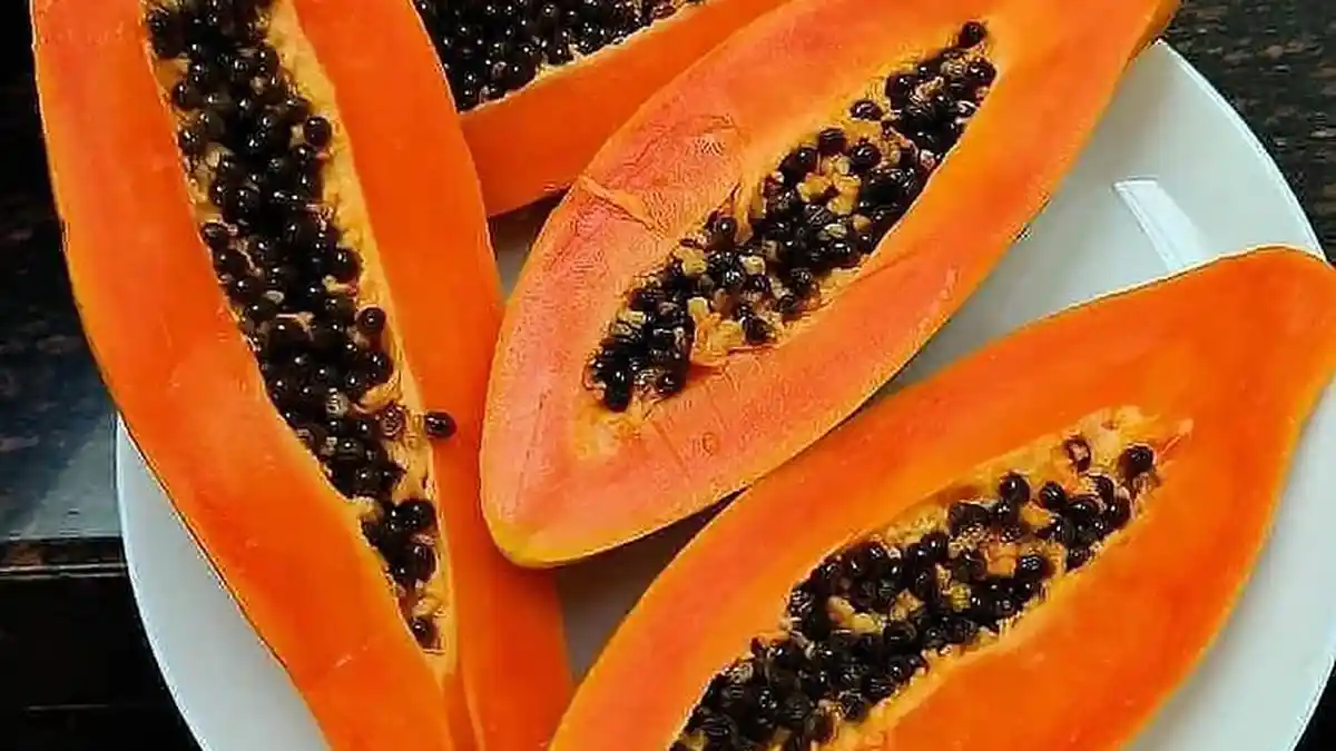 Manfaat Pepaya Ketika Disantap Saat Buka Puasa, Menurunkan Kadar Kolesterol