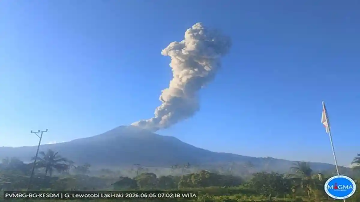 Gunung Lewotobi Meletus Pagi Ini, Semburkan Vulkanik 2.500 Meter