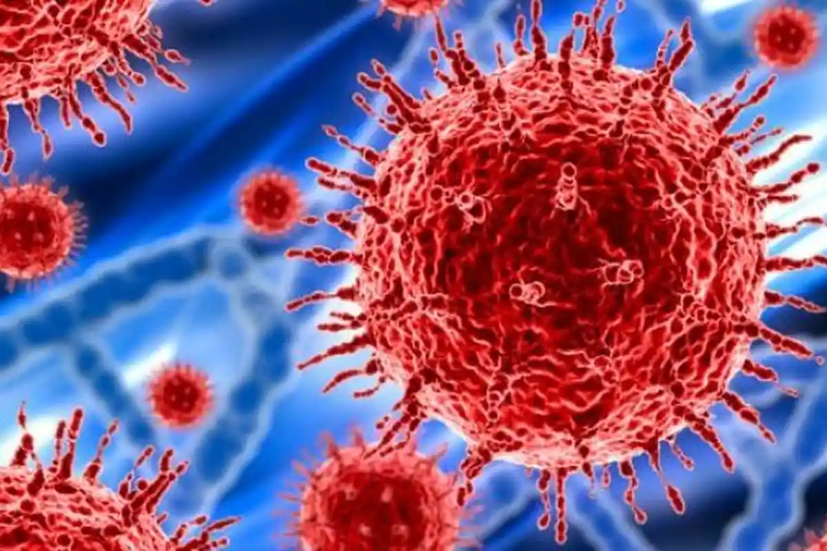 Hasil Whole Genome Sequensing 150 Sampel, Terdapat 56 Varian Delta India di Kalbar