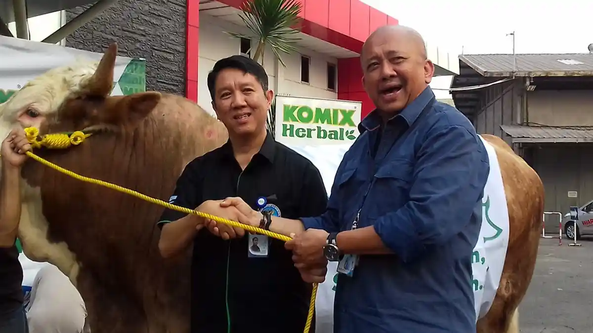 Komix Serahkan Sapi Kurban Berbobot 1 Ton Lebih Kepada Tribunnews.com