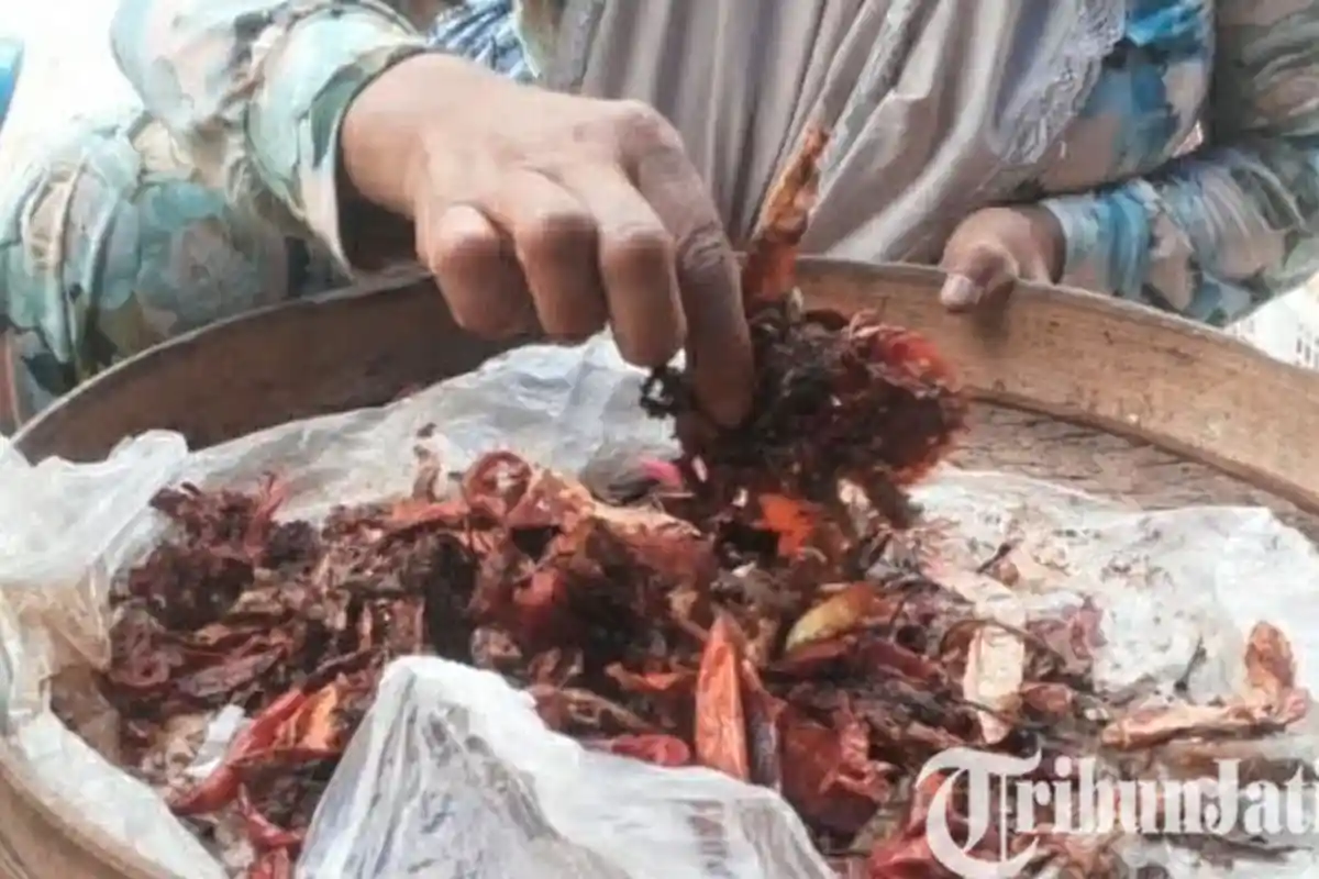 Cabai Busuk Dijual Rp 50 Ribu Per Kilo, Jadi Solusi Tingginya Harga Cabai yang Kian Pedas