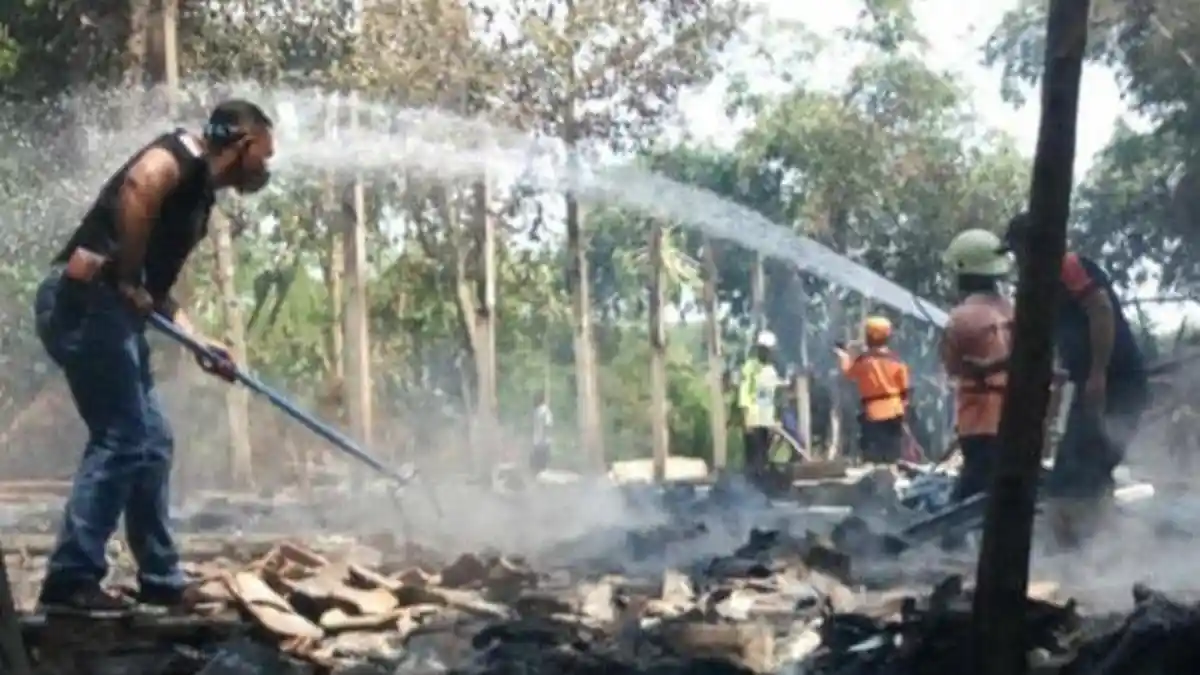 Kebakaran Kandang di Jombang, 3.000 Ayam Terbakar Hidup-Hidup