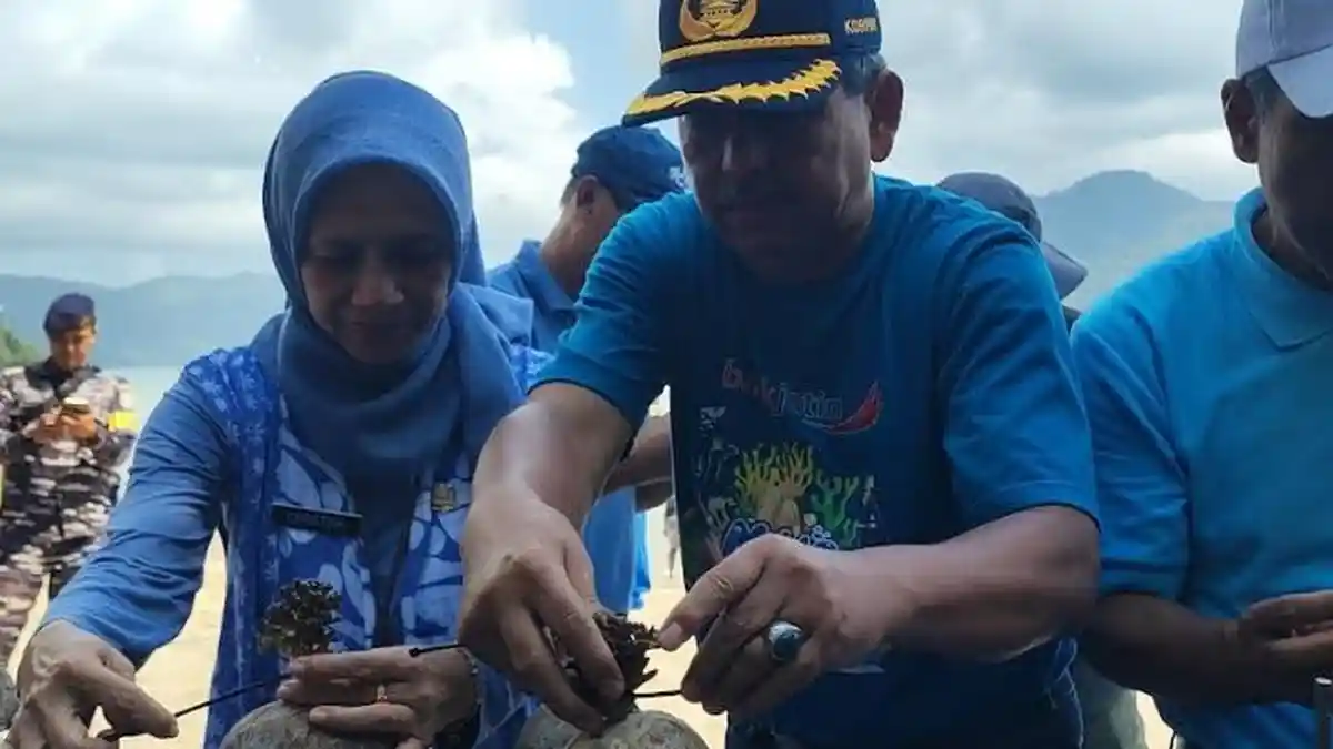 Konservasi Ekosistem Laut Selatan dengan Bioreeftek, Trenggalek Punya ...