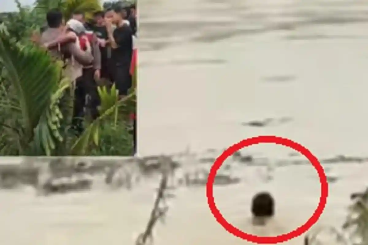 Heroik! Viral Video Polisi Berenang Menerjang Banjir Setinggi 5 Meter Demi Selamatkan Lansia