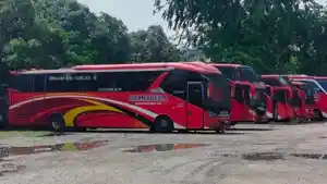 Suasana-kondisi-bus-Halmahera-berjejer-rapi-di-sebuah-lahan-milik-PT-Makmur-11.jpg
