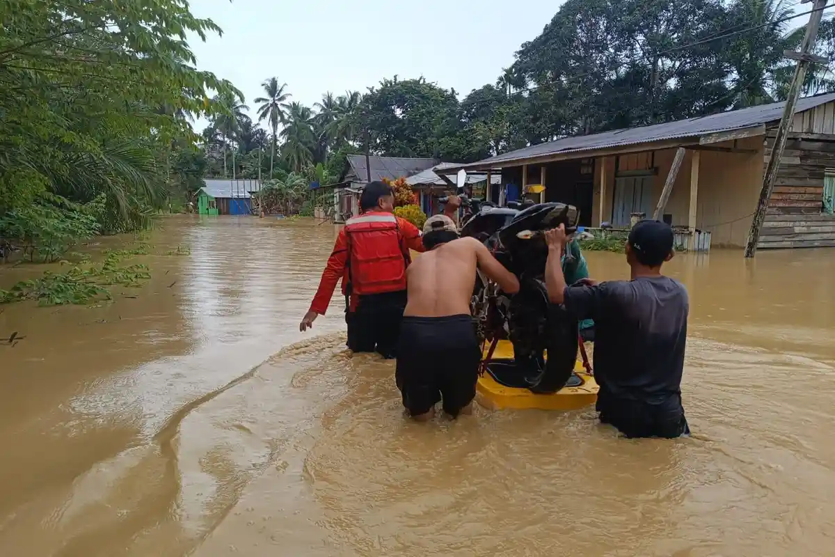 Dampak IKN Kaltim, Frekuensi Banjir di Daerah Penyangga Meningkat di 2024 dan Deforestasi Masif