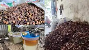 HARGA-Komoditas-cengkih-kopra-dan-nilam-mengalami-perubahan-hargalo.jpg