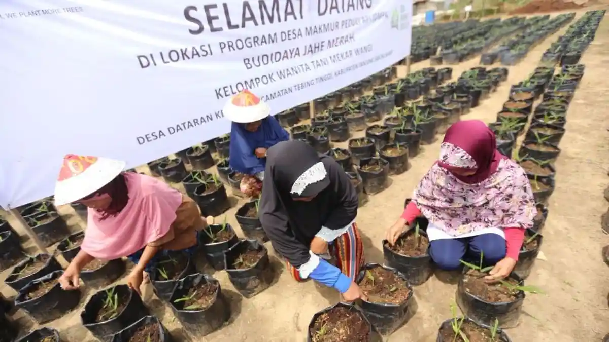 ISEI Kunjungi Kelompok Tani Binaan APP Sinar Mas di Jambi