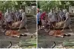 Screenshot-video-warga-Jember-meninggal-dunia-saat-menyaksikan-penyembelihan-hewan-kurban.jpg