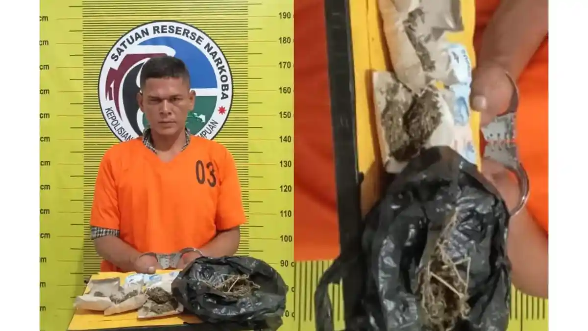 Polres Padangsidimpuan Tangkap Pengedar di SD Inpres Aek Tampang, Temukan Ganja Seberat 20,95 Gram
