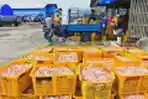 Panen Ikan Munir Di Pelelangan Ikan TPI Tasikagung Rembang